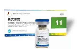c3df85df632c312b_43_0 F88星宝(中国集团)官方网站
