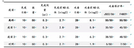 F88星宝(中国集团)官方网站