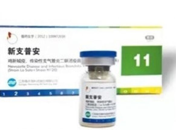  防“新”控“支”需普安 正视成效保；と